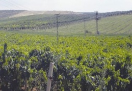 2B Yasası yürürlüğe girdi