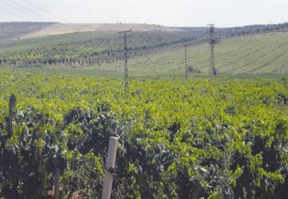 2B Yasası yürürlüğe girdi