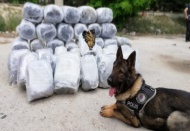 Bady 210 kilo uyuşturucu yakaladı