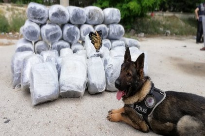 Bady 210 kilo uyuşturucu yakaladı