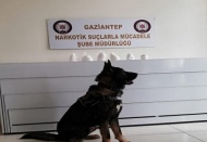 Bady, uyuşturucuyu bagajda buldu