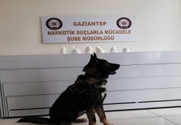 Bady, uyuşturucuyu bagajda buldu
