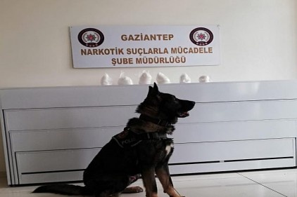 Bady, uyuşturucuyu bagajda buldu