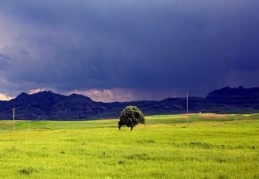 Bağ-bahçe ve arazi şeklinde 239 bin 743 adet tarım arazisi var