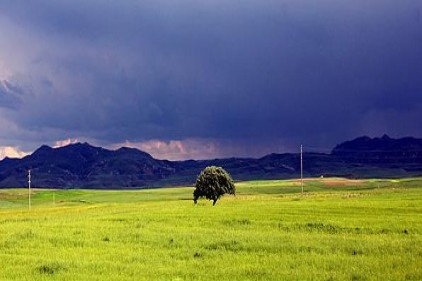 Bağ-bahçe ve arazi şeklinde 239 bin 743 adet tarım arazisi var