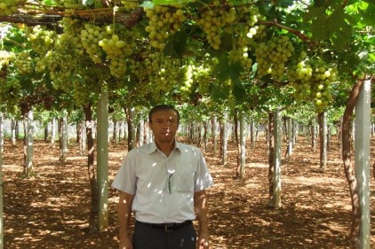 Bağcılıkta geriledik