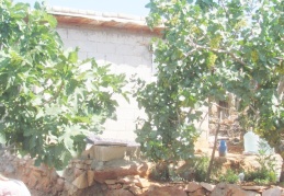 Bağevinde ölü bulundu