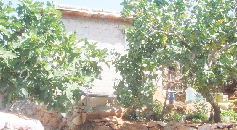 Bağevinde ölü bulundu