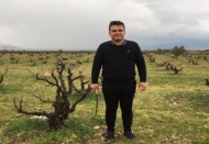 Bağlarda gövde hastalıklarına dikkat edilmeli