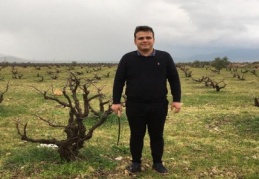 Bağlarda gövde hastalıklarına dikkat edilmeli