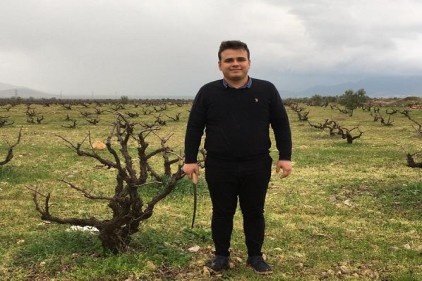 Bağlarda gövde hastalıklarına dikkat edilmeli