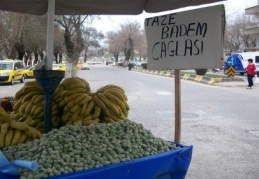 Baharın müjdecisi 40 lira