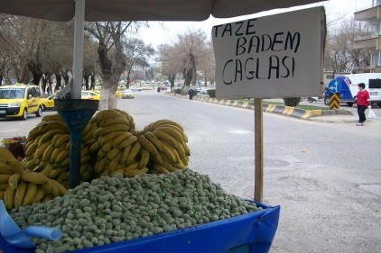 Baharın müjdecisi 40 lira