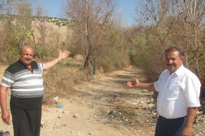 Bakan Eroğlu&#8217;un talimatıyla susuz kalan ağaçlara su verildi