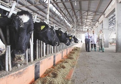 Bakan Şimşek'ten çiftçilere müjde