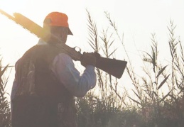 Bakanlık 3 turiste 'av turizmi' adı altında yaban domuzu öldürme izni verdi