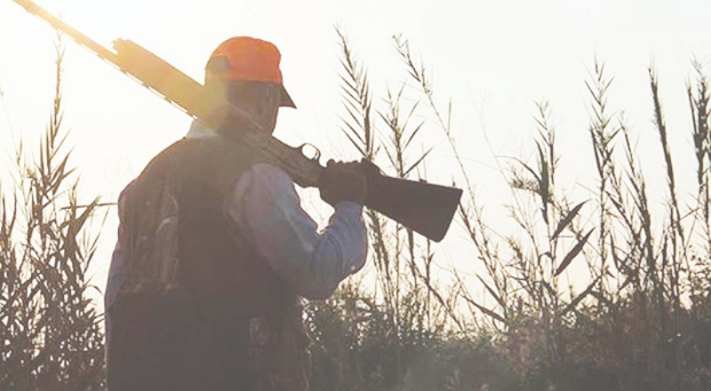 Bakanlık 3 turiste 'av turizmi' adı altında yaban domuzu öldürme izni verdi