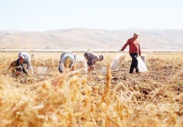 Bakanlık açıkladı: Hacizli taşınmaz sayısı yüzde 168 arttı