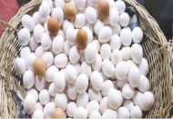 Bakkal amca yumurta satamayacak