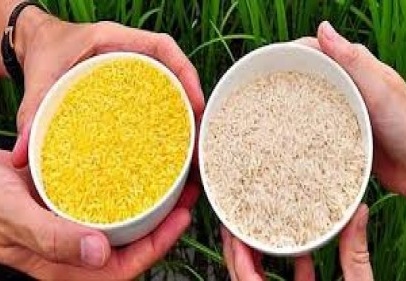 Bakliyat ithalatı fiyatları dengelemek yerine fiyatları artırdı