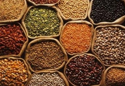 Bakliyat üretimi yüzde 41 azaldı