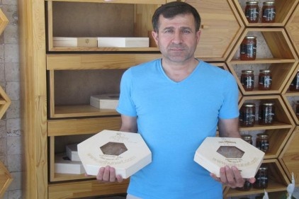 Bal rekoltesi arıcıların yüzünü güldürecek