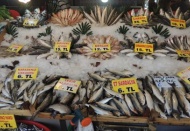 Balık piyasası canlanıyor