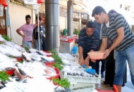 Balık sezonu başladı
