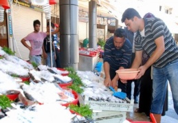 Balık sezonu başladı