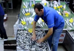 Balık tezgahları boş, bu sezonun kurtarıcısı hamsi oldu