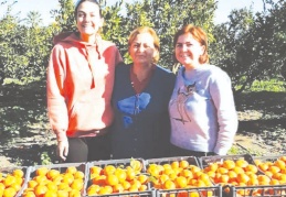 Balıkçılık ve tarım sektörlerinde iş sahibi kadınlar örnek olmak istiyor