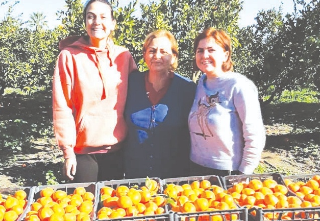 Balıkçılık ve tarım sektörlerinde iş sahibi kadınlar örnek olmak istiyor