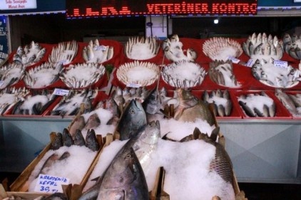 Balıklar elde kaldı