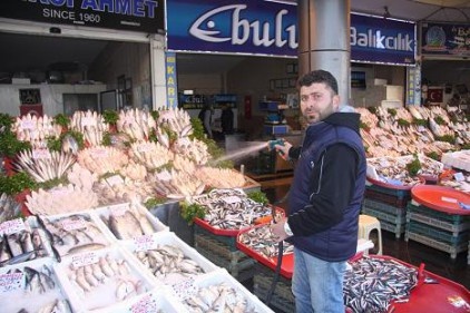 Balıklar Rusya&#8217;ya göçtü hamsinin fiyatı yükseldi