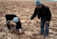 Barak Ovası'nın çiftçileri kuraklık sıkıntısı yaşıyor