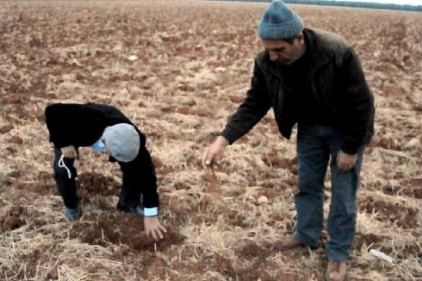 Barak Ovası&#039;nın çiftçileri kuraklık sıkıntısı yaşıyor