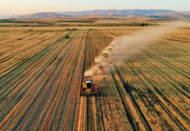 Barut: 300 dolara ithal edilen gübre neden 1100 dolara satılıyor?