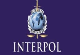 Başbakan Erdoğan’a Interpol'den tam destek geldi