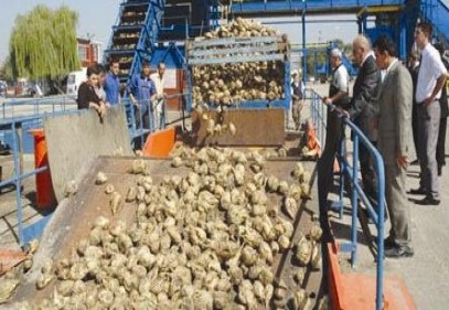 “Başbakan görse fabrikaları satmazdı”