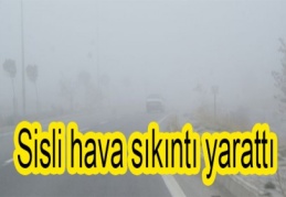 Basın mensupları, kamu görevi yapıyor