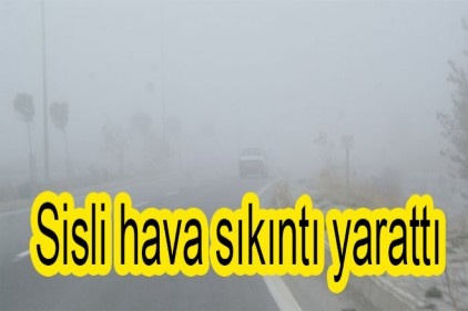 Basın mensupları, kamu görevi yapıyor