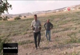 Başkentin kavun merkezinden kötü haber