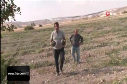 Başkentin kavun merkezinden kötü haber