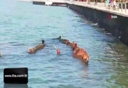 Batık gemiyi çıkartma çalışmaları başladı