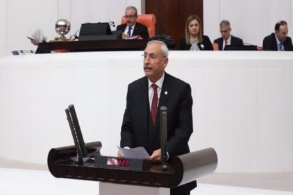 Bebek ölümleri meclis gündemindeydi
