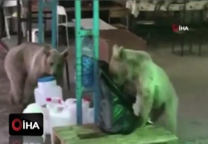 Bekçi ile ayının diyaloğu sosyal medyada yoğun ilgi gördü