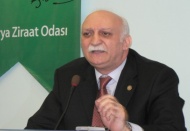 Bereketli yıl