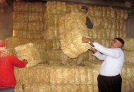 Besiciler, kışlık sap ve saman ihtiyaçlarını tedarik ediyor