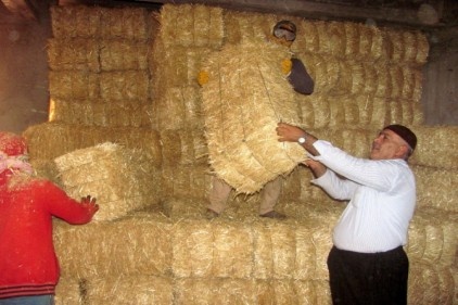 Besiciler, kışlık sap ve saman ihtiyaçlarını tedarik ediyor