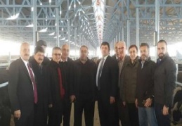 Besilik hayvan materyali ithalatında sürekli ve yeterli hayvan temini sağlanamıyor